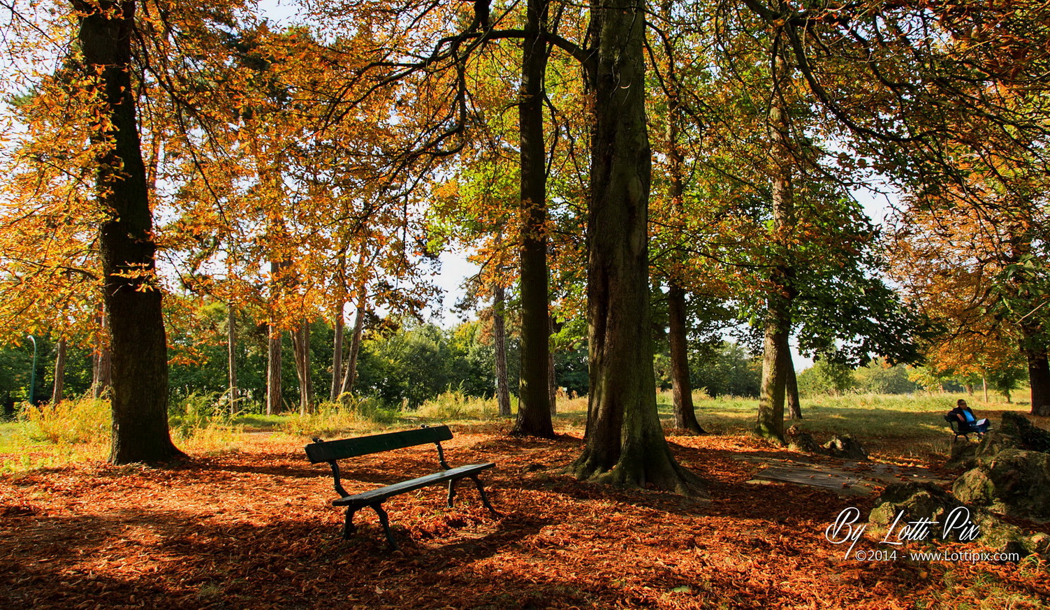 Banc en Automne
