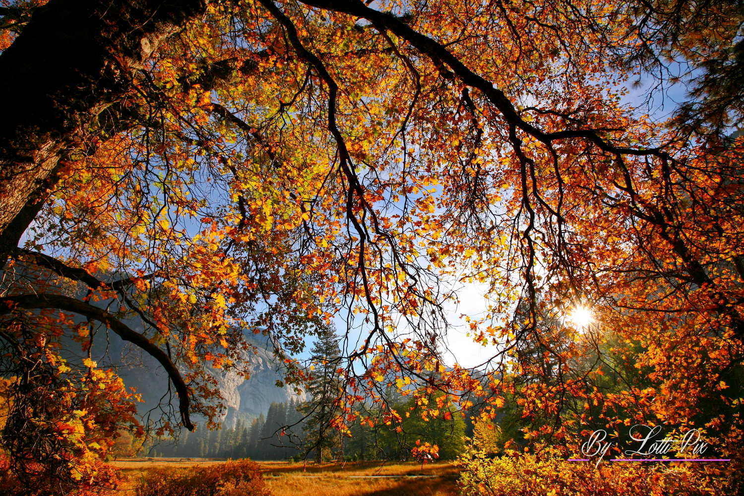 Paysage Automne